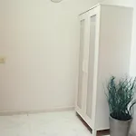 Mirafondo *